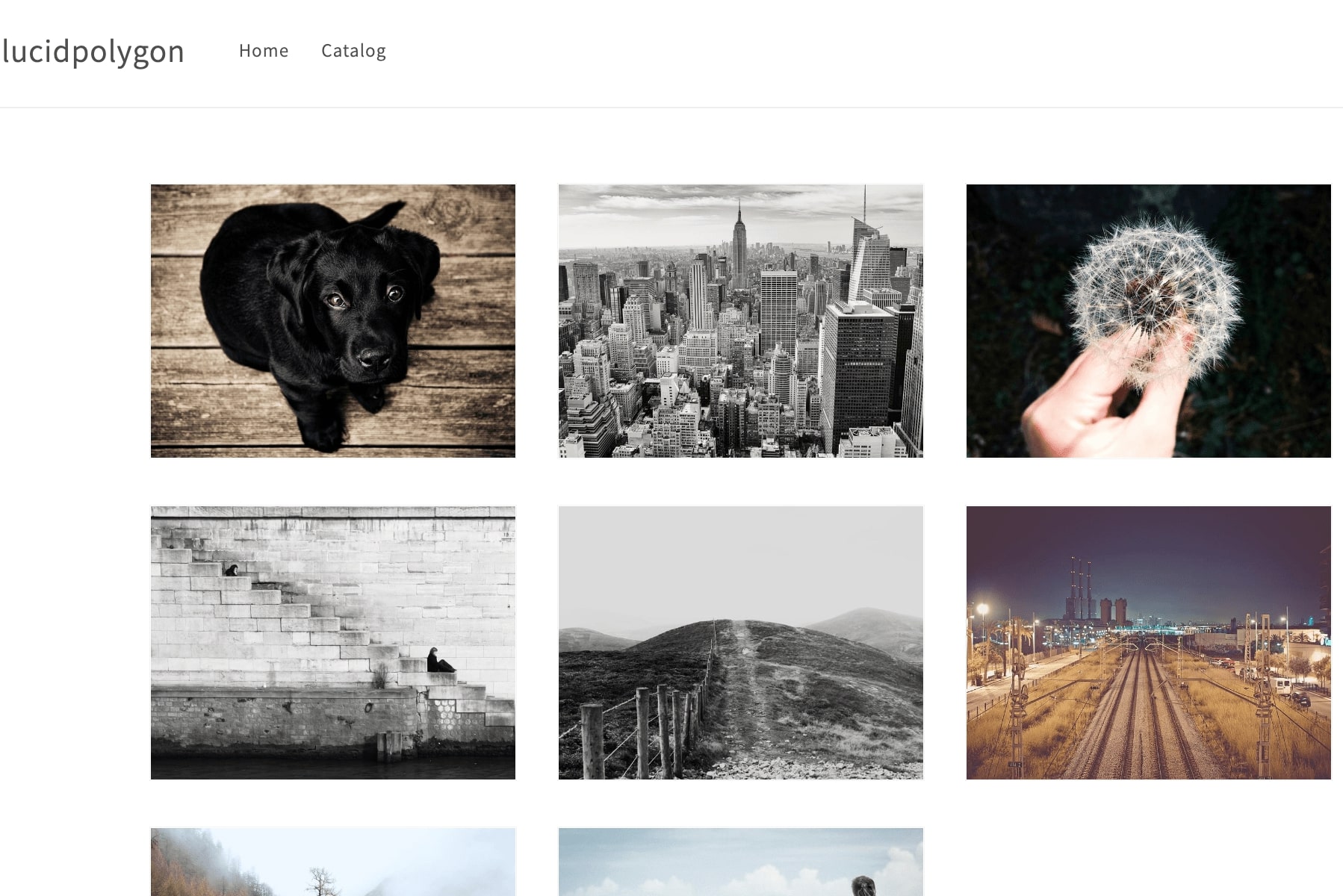 How to add image gallery to Shopify blog page